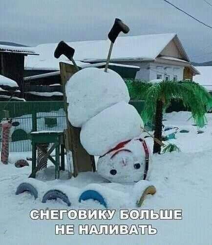 file_95480094