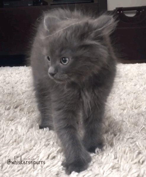 3ff1485c299882f3ac626cc5c1ec4441