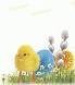 images[1]