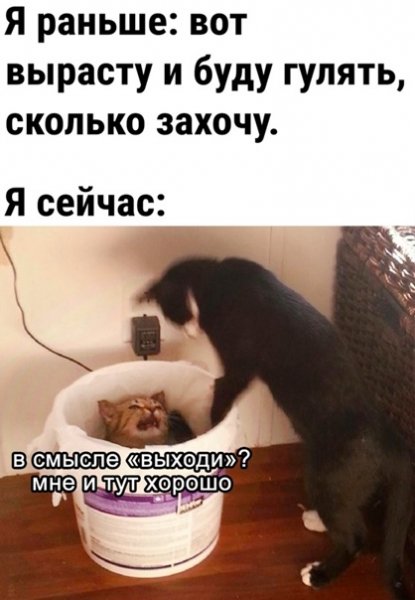 file_95717147