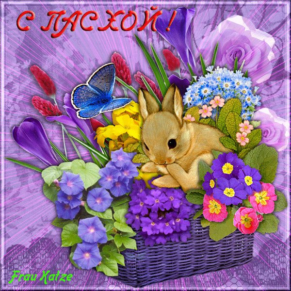 file_84183441