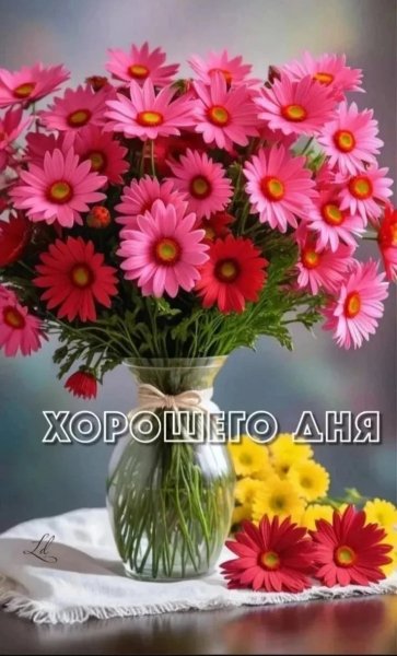 IMG 20260508 133537 099