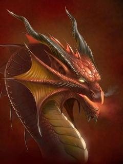 dragon 11
