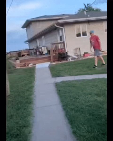 Лошадь протестует