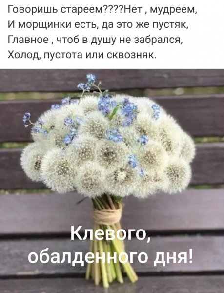 Клёвого обалденного дня
