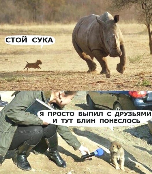 file_84911458