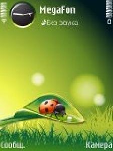 Божья коровка.ladybug.9.1