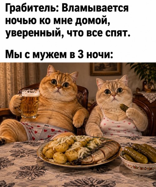 Belka my fe13b46a12b54a4784f9c80124842135