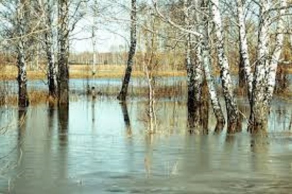 Весна. Половодье.