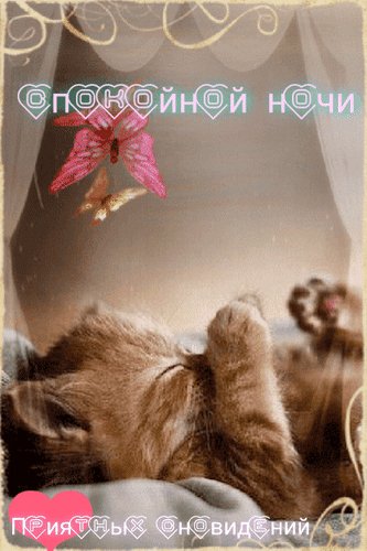 Анимированная открытка спокойной ночи