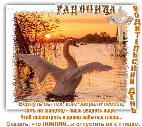 Анимированная открытка радоница (3)