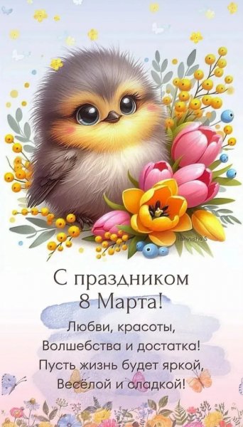 IMG 20260313 203257
