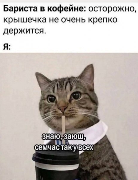 FB IMG 1780695033668