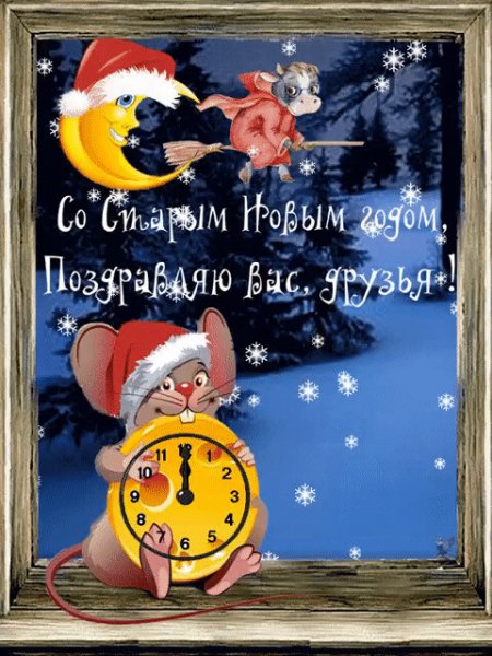 image (74)