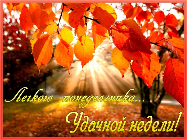 fe674d708453be2bf0e99266476bb