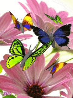 file_9324954