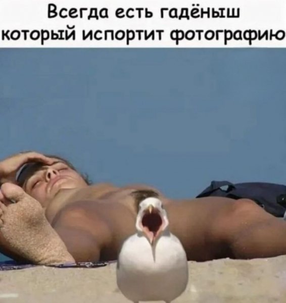 file_102528840