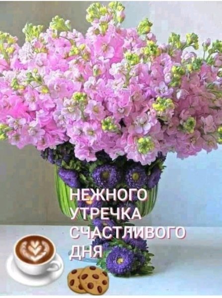 IMG 20190523 223743