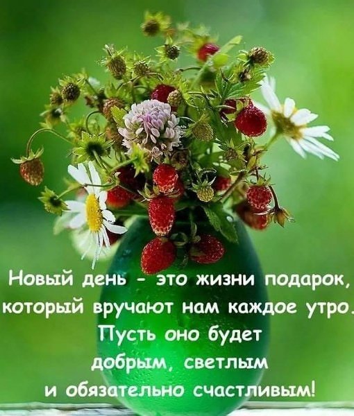 IMG 20190203 160125