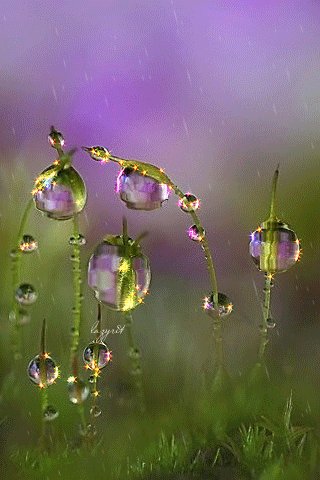 IMG 20180616 215439 5