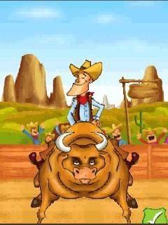 Звёзды родео