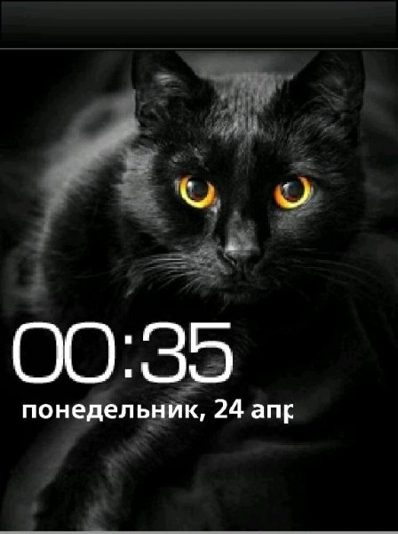 Черный кот