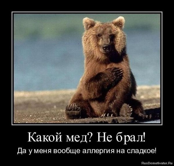 Какой мёд? Не брал...