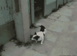 Doc358503743 681811763