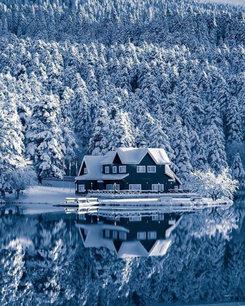 file_92130011