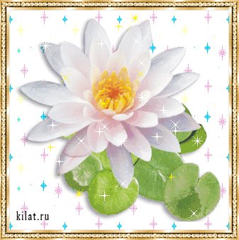 kilat.ru 3