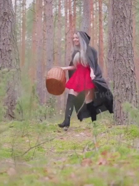 Красная шапочка