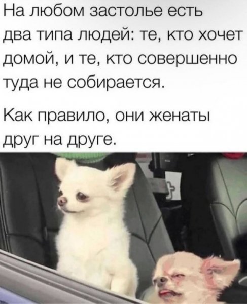 file_100828080