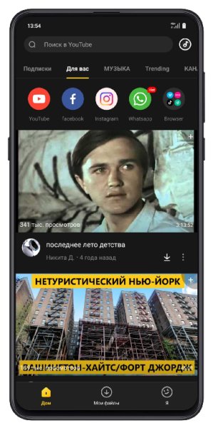 Snaptube-VIP-v5.00.1.5001901 build 5001901-armeabi
