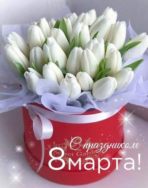 FB IMG 1741457420327