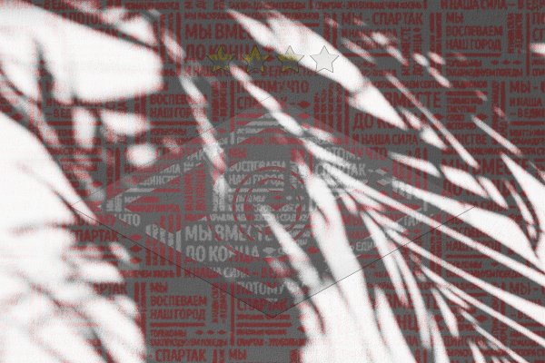 New-FCSM-Shaddows-29072020