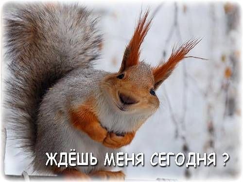 9QolBu0yV2c