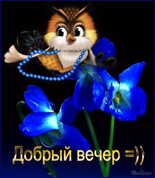 IMG 20181126 172628