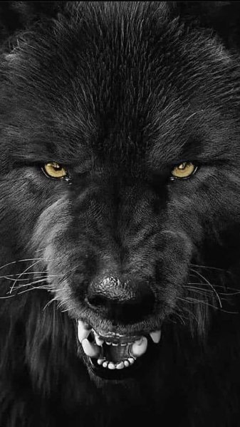 1e659959139fb2e2118084951cab85f1