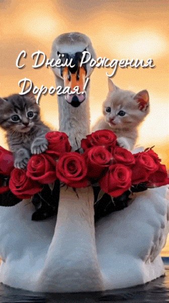 С днём рождения, дорогая!