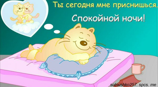 IMG 20180804 125548
