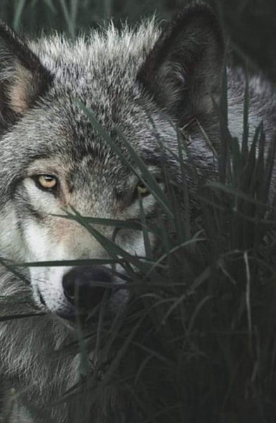 37d6eafe20488cd0e69c44de555d7afd