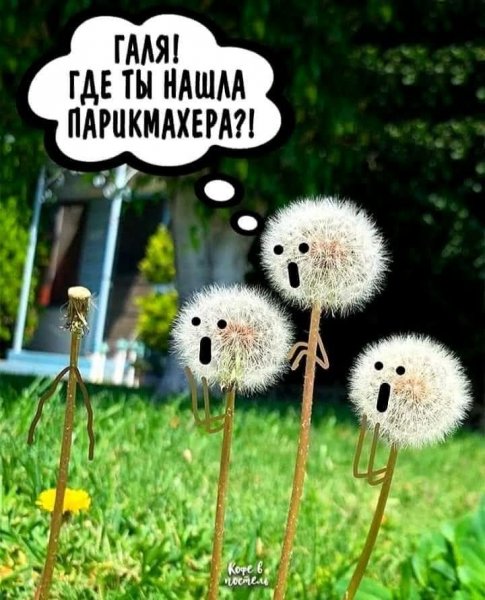 FB IMG 1778703383933