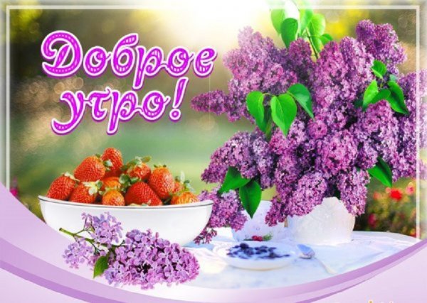 Доброе утро!