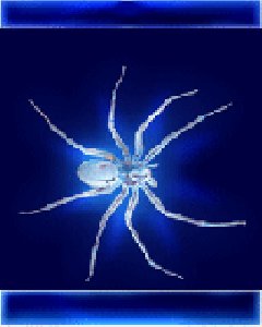 Space Spider