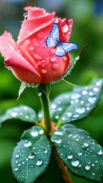 file_101010055