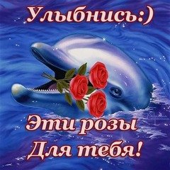 2cbc98c9f7bc72e2a6e8e6c9b3ca8447
