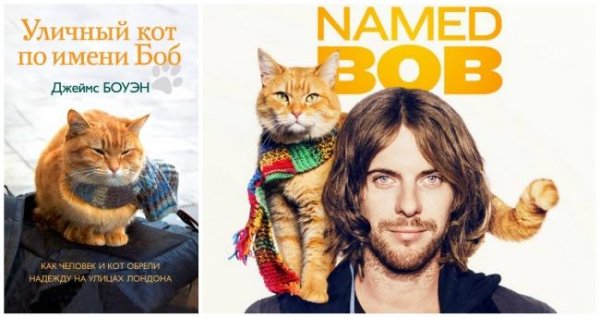 Джэймс Боуэн,Уличный кот по имени Боб