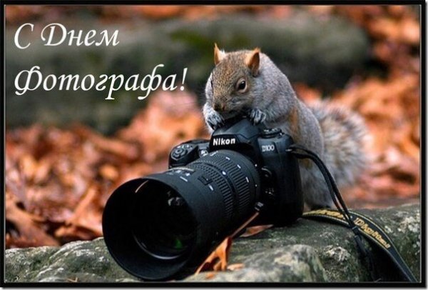Открытка с днем фотографа