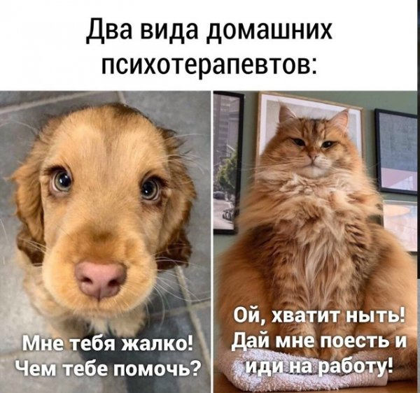 file_102506277
