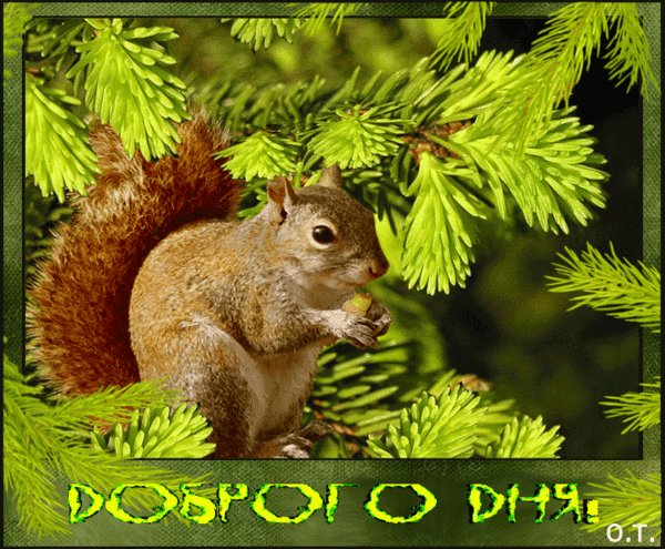 file_52856601
